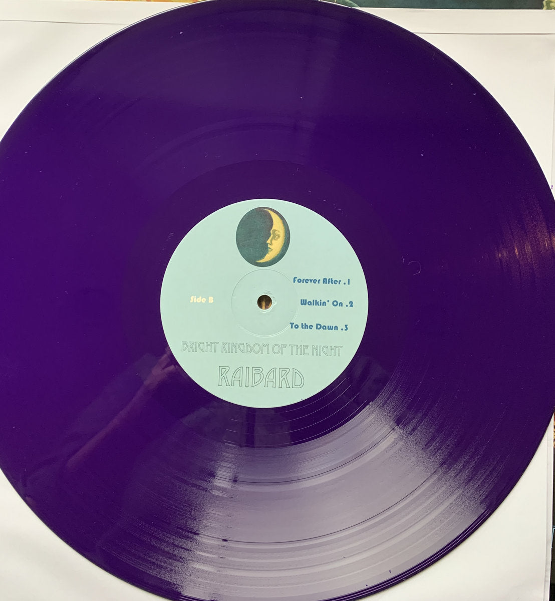 Dark Realm of the Daylight LP